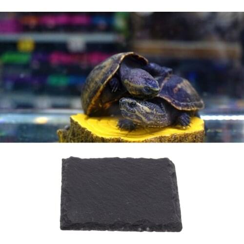 Blesiya Food Rock Dish Bowl Feeder Tortoise Reptile Feeding Pot Turtle Pier