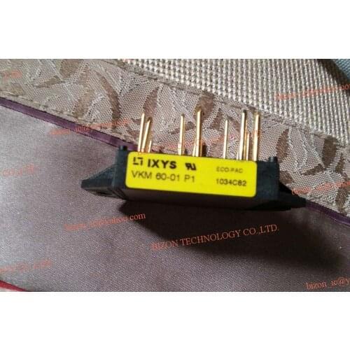 VKM60-01P1