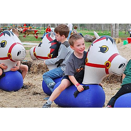 New arrvail Inflatable pony hop ,horse Adult Size & Free Repair kits & 100% Quality Guaranty free shipping