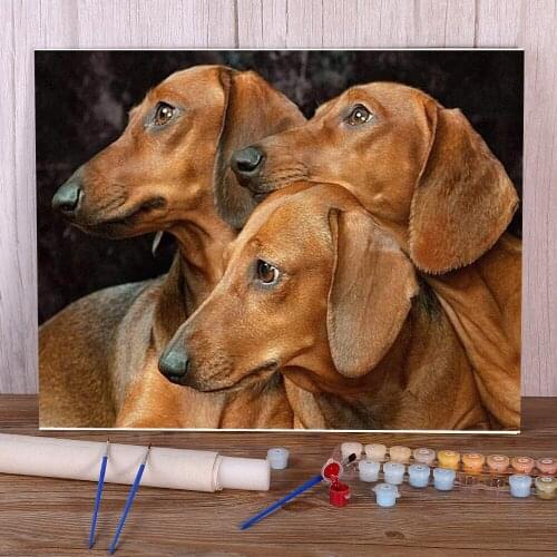 Animal Dog Dachshund Paint By Numbers Kit Acrylic Paints 40*50 Boards By Numbers Handmade For Handicraft