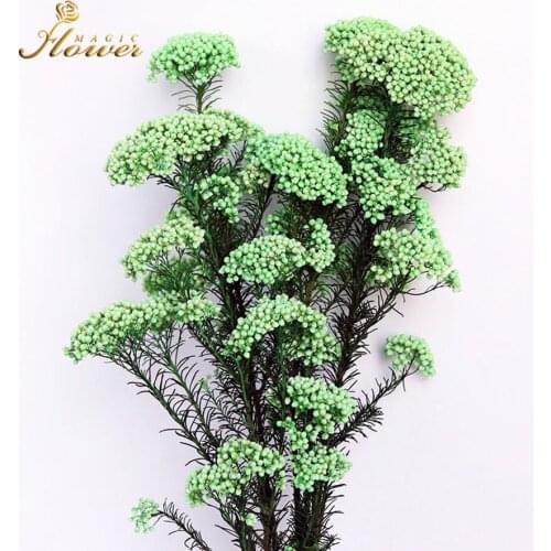 2Bunches Childrens Day Birthday Party House Decoration Event Decor Room Decoration Teenager Aesthetic