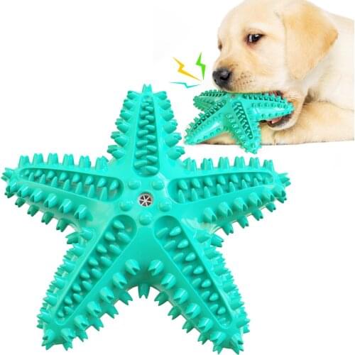 Dog Toothbrush Starfish Toys for Dogs Interactive Toy Training IQ Teeth Cleaning Durable Small Medium Large Dog Puppy Chewing