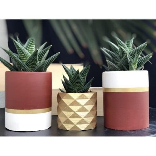 Bigcraft Cylinder, geometric Concrete Pot Jardiniere Cactus and Sukulentlik 3'lü Set