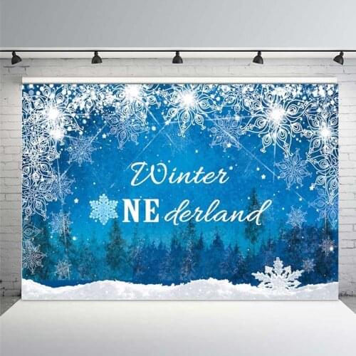 Winter Onederland 1st Birthday Backdrop Winter Onederland Backdrops Ice Crystal Snowflake Onederland Backdrops for Photography
