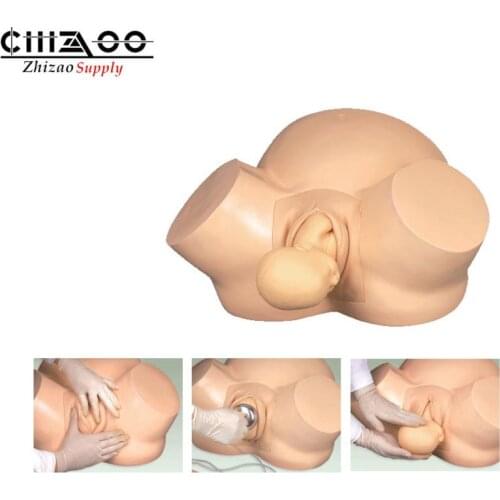 Midwifery Training Simulator Medical Training Model