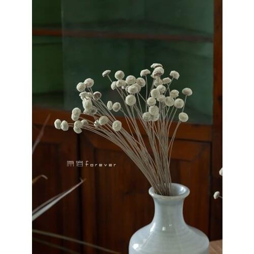 30pcs Brazil Imported Real Flower Button Dried Flower Minimalist Nordic Soft Decoration with Flower Photo Decoration Flower