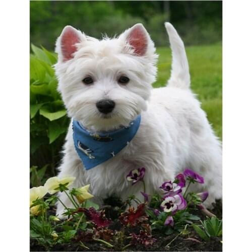 BMBY-Diamond Painting Cross Stitch Westie Dog Diamond Embroidery Round Drill Diamond Home Decor Pet Animal