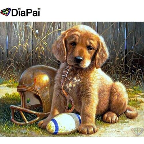 DIAPAI 5D DIY Diamond Painting 100% Full Square/Round Drill "Animal dog hat" Diamond Embroidery Cross Stitch 3D Decor A21649