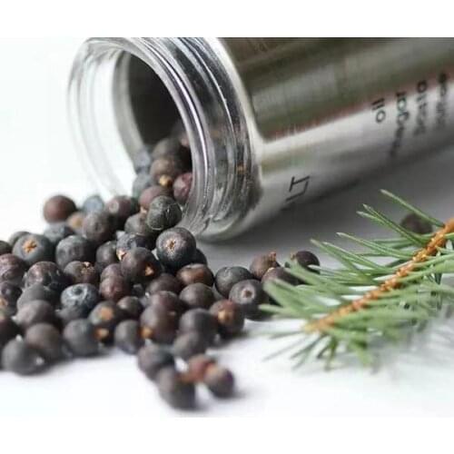 100% Natural Dried Whole Juniper Berries Brewing Botanical and Traditional Spice Bulk