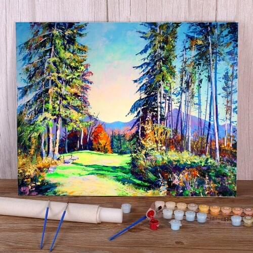 Landscape Glade Paint By Numbers Set Oil Paints 40*50 Painting On Canvas Wall Decoration For Handiwork