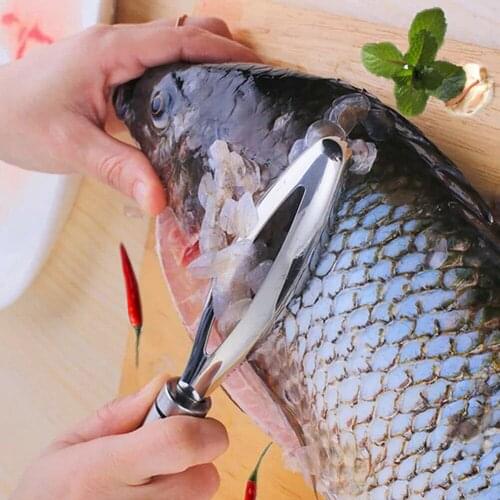 Seafood Tools Fish Scale Remover Skin Stainless Steel Peeler Scaler Brush Kitchenware
