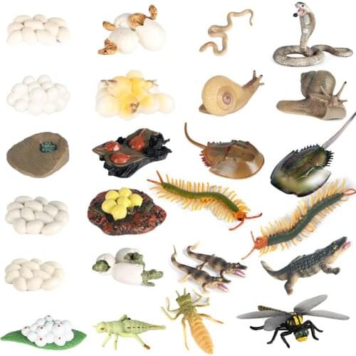 QiKod Insect Figures