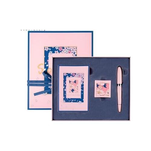 Elegant Pink Fountain Pen The Best Gift for Ladies Ink Pens Set Valentines Day Gift Pens