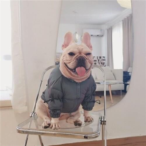 Winter Warm Dog Clothes for Small Dogs Coat for French Bulldog Down Jacket for Yorkies Chihuahua Outfit Puppy Clothing PC2017