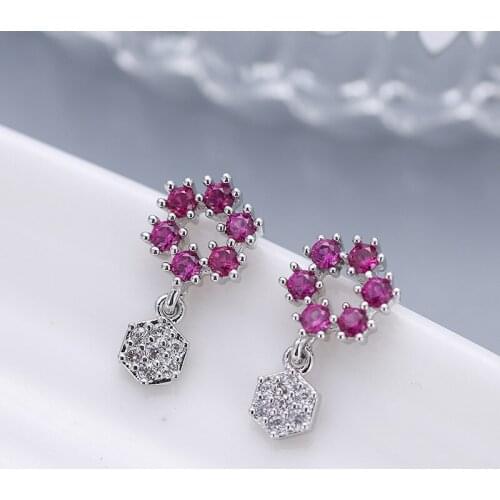 Women Earrings Micro Set Zircon Flower Shape Silver Earrings Fashion Glamour Banquet Engagement Earrings Send Girlfriend