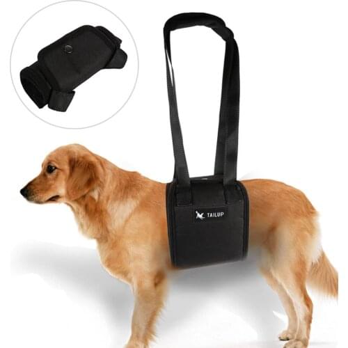 HURRISE Harnesses