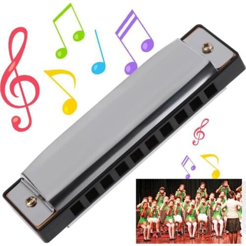 Blues Harmonica 10 Holes Key of C Musical Instrument Stainless Steel with Case