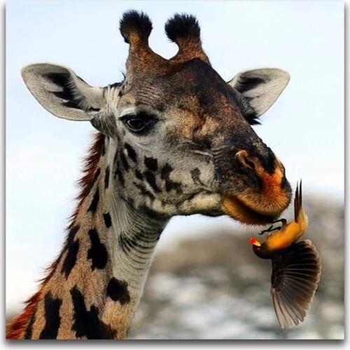 DIY Diamant stickerei giraffe & vogel voll platz Diamant mosaik tier familie Volle runde Diamant malerei Kreuz stich eisvogel