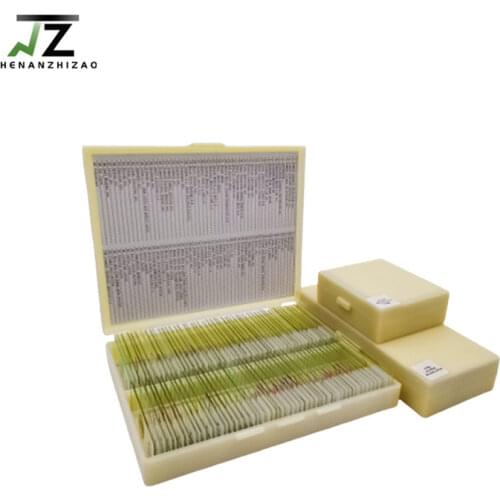 100Pcs Set Microscope Botany Prepared Slides