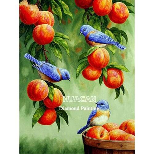 Bird Animal Printed Fabric 11CT Cross Stitch Embroidery Complete Kit DMC Threads Handiwork Sewing Needlework Painting Magic