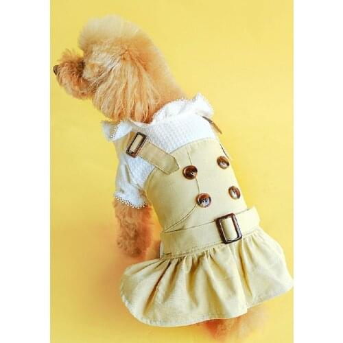 Pet Dog Clothes for Spring Summer Thin Trench Coat Princess Dress Two Styles Pet Clothing with Button Puppy Dress Lovers Costume