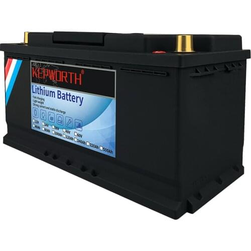24V 40 60 80 100 120 160 200Ah LiFePO4 Deep Cycle Lithium Battery With BMS 3000+ Cycles Rechargeable for RV/Camper Golf etc