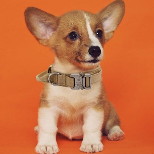 Nylon Dog Collar 1.5 Inch Adjustable Durable Padded Gripper Training Hunting Walking Pet Leash Neck Captive Dog Supplies