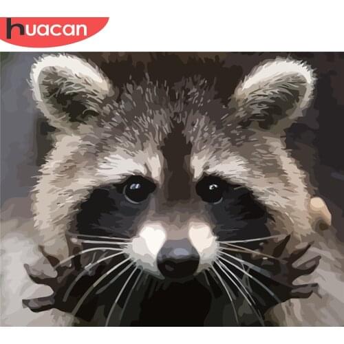 HUACAN Paint By Number Raccoon Animal Acrylic Kits Drawing On Canvas Oil Painting By Number Home Decoration