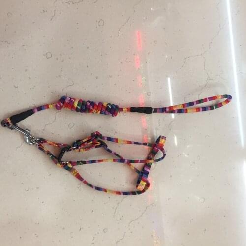 100pcs/lot Dog Leash Lead Pet Colorful Sizes Training Puppy Cat Dog Collar Vest Harnesses