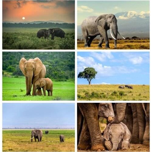 ARMYQZ Embroidery animal elephant square round diamond square diamond diamond cross stitch DIY diamond painting diamond mosaic r