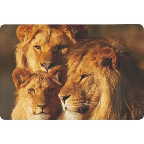Animal Anti-slip Door Mat Home Decor, African Wildlife Lions Indoor Outdoor Entrance Doormat Rubber Backing