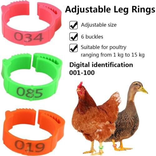 100PCS Chicken Leg Ring Adjustable Poultry Leg Buckle Digital Label Buckle Ring For Chicken Duck Pigeon Poultry Farming Etc