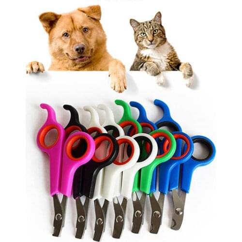 Pet product Random color small dogs with pet nail scissors Cats use nail clippers Pet Cat Tools Supplies AA
