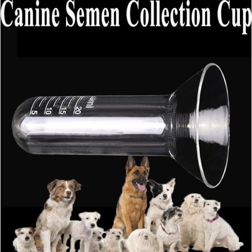 1PCS Dog Pet Canine Artificial Insemination Device Semen Collection Sperm Collect Glass Tube 20ml Scale Medical Material
