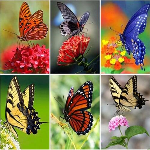 DIY Butterfly 5D Diamond Painting Full Square Drill Cross Stitch Animal Diamond Embroidery Mosaic Home Decor Wall Art Gift