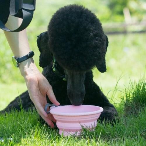 Dog Supplies Pet Bowls with Snap Hook for Traveling Food Containers Feeders and Drinkers Portable Folding Silicone Bowl for Dogs