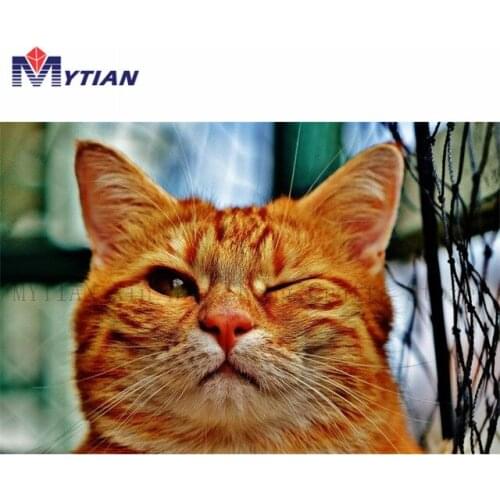 5D DIY Full Drill Square Round Diamond Painting Cross Stitch Cat Wink Diamond Embroidery Mosaic Needlework Home Decoration Gift