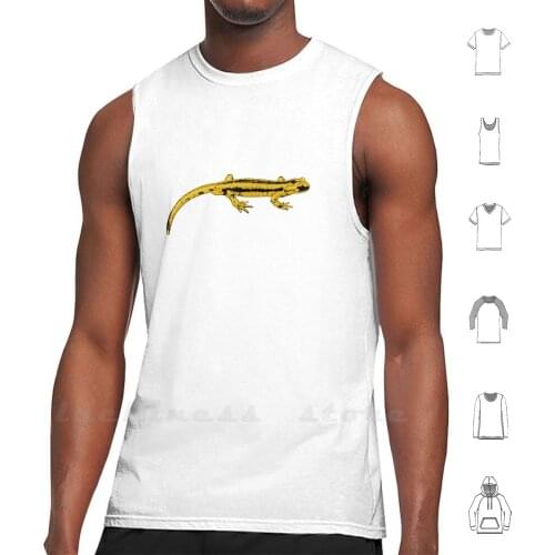 Fire Salamander ( Salamandra Salamandra ) Tank Tops Vest Sleeveless Fire Salamander Salamandra Amphibian Animal
