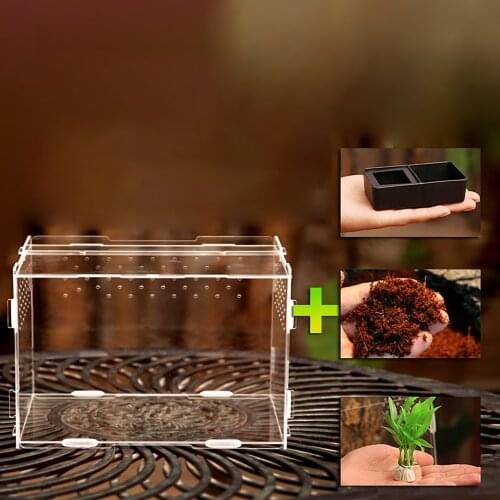 Terrarium Vivarium Kit With Magnet Latch Water Bowl Substrate Artificial Plant For Gecko Lizard Snake Tarantula Reptile Acrylic