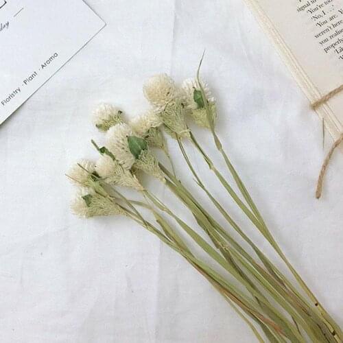 Natural Dried Flowers Dried Eucalyptus Leaf Real Branch Dried Decoration Wheat Party Wedding Yellow warbler Nordic Home Cot U9B8