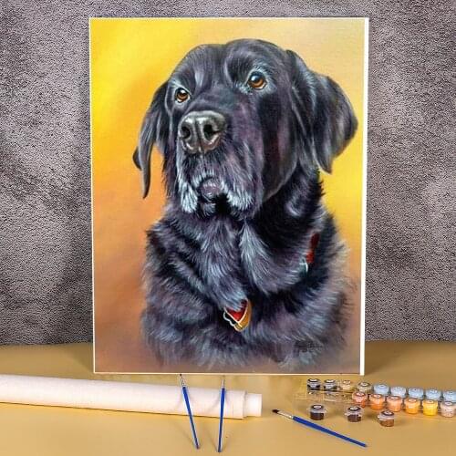 Animal Dog Labrador Paint By Numbers Complete Kit Oil Paints 40*50 Canvas Pictures Decorative Paintings Kids Drawing