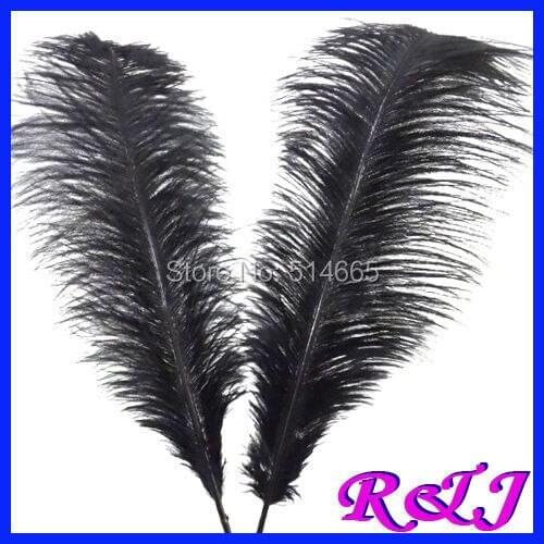 EMS Free shipping Cheap ostrich feather 100pcs 20-22 inches 50-55cm Black Ostrich plumage ostrich plume