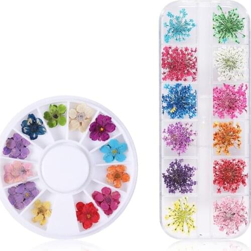 Dried Flower 3D Nail Decoration Natural Floral Sticker Mixed Dry Flower Leaf DIY Nail Art Decals Jewelry UV Gel Polish Manicure