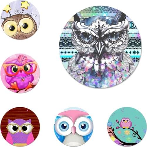 Colorful sweet owl Brooch Pin Cosplay Badge Accessories For Clothes Backpack Decoration Gift 58mm