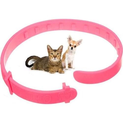 Novelty Pet Collar Neck Ring Leave Away From Flea Tick Mite Louse Remedy animal accessories