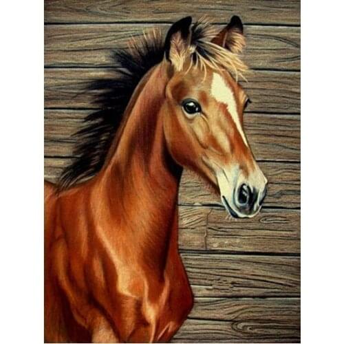 Horses Love Forever Diamond Painting Kit - DIY