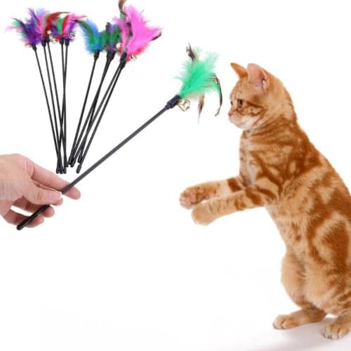 5pcs Cat Kitten Pet Teaser Turkey Feather Interactive Stick Toy Wire Chaser Cat Kitten Wire Chaser Funny Pet Cat Training Tools