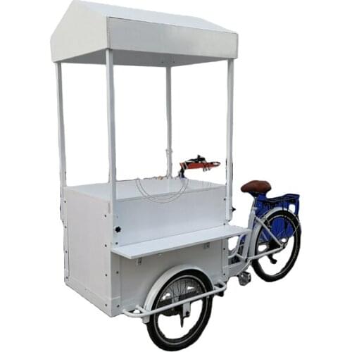 3 Wheels Commercial Flower Vending Tricycle Cargo Bike Food Bicycle Electric Trike for sale with Canopy