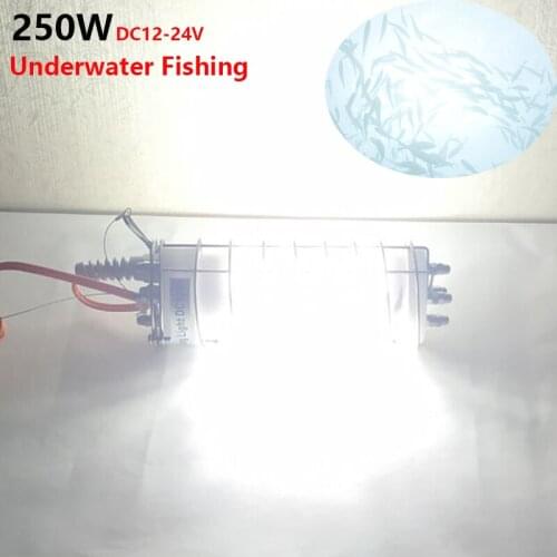 Saltwater Minnow Fishing Lure 12VDC 250W LED Attracting fish Light Seabass Hard Bait SUS316 Protective Cage