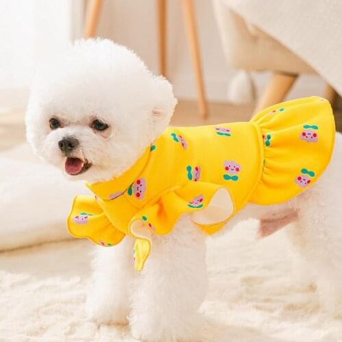 Dog Clothes Autumn and Winter Flowers Dog Sweater Puppy Dog Dress Two-legged Couple Clothes Spring and Autumn Cat Pet Clothes